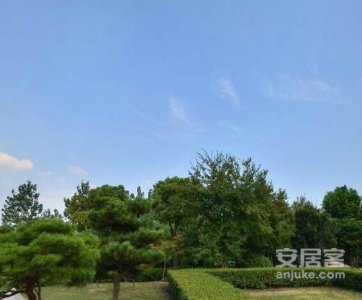 前山新城