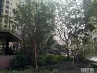 华侨城四海云亭