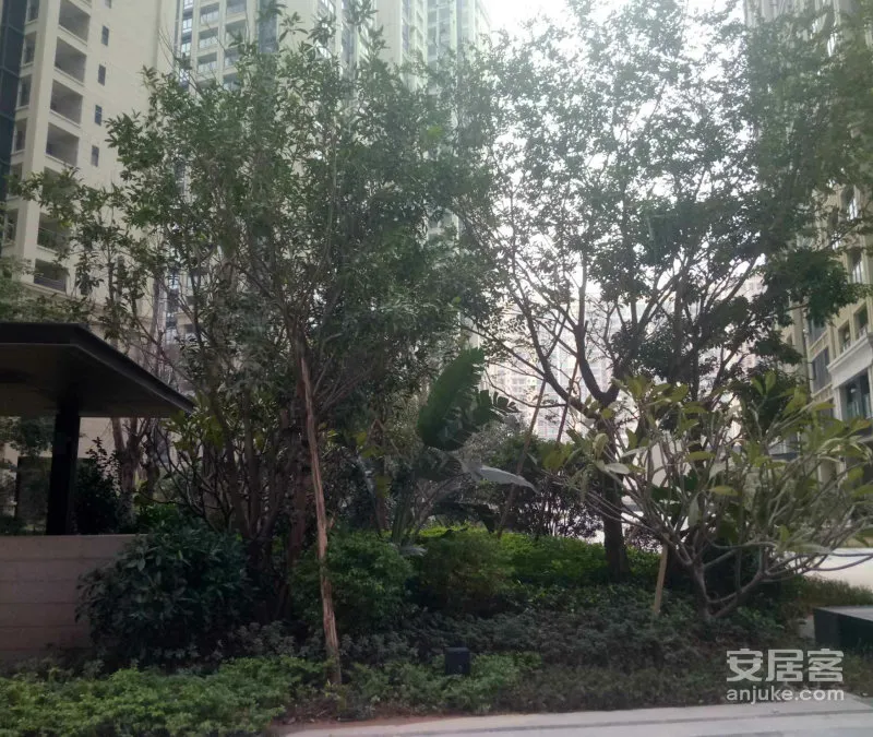 华侨城四海云亭