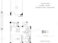 居礼院-下叠B户型