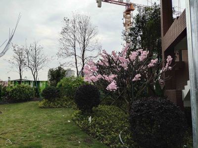 信业尚上名筑花园