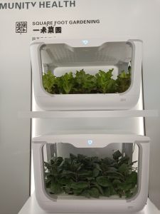 远洋天成