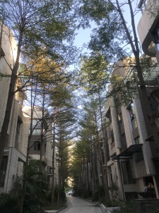 嘉爵园