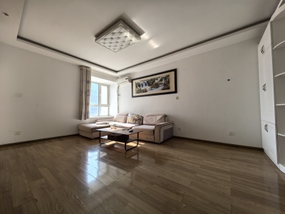 银领国际 1室1厅1卫 南 精装