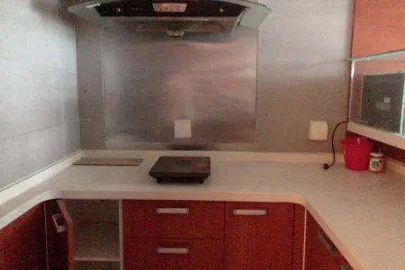 上实达利广场 1室1厅1卫 东南 精装