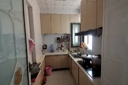 星河嘉园 2室2厅2卫南北 中装