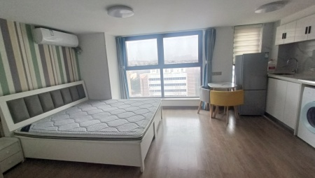 奥园翰林名苑商住楼 1室1厅1卫南 精装