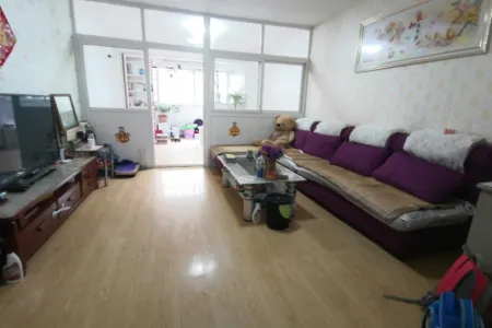 盈泰嘉园 2室2厅1卫 南 中装