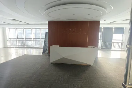 长江财富中心 1室1厅0卫东 精装