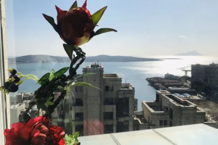 南北通透,次新小区,黄金地段,楼层好,采光很棒,性价比高