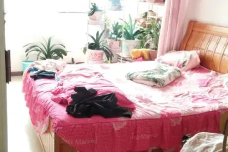 卧鹏小区 2室1厅1卫南 中装