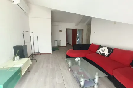 假日风情 2室2厅1卫 南北 中装