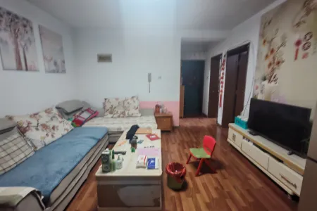 黄河中路小区 1室1厅1卫南 精装