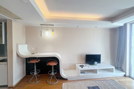 上实达利广场 1室1厅1卫 东 精装