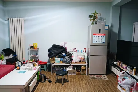 德龙崇明岛小区 2室1厅1卫南 精装