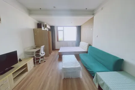 盛世香江公馆 1室1厅1卫 南 精装