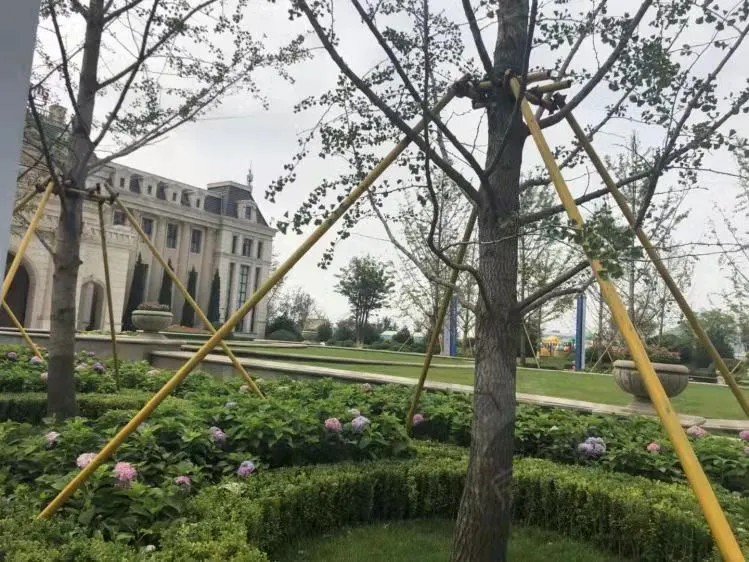 万达维多利亚湾（31-67号楼）