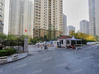 唐岛七星