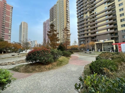 中冶爱彼岸