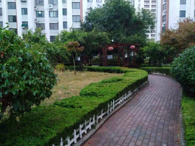 示范小区C区