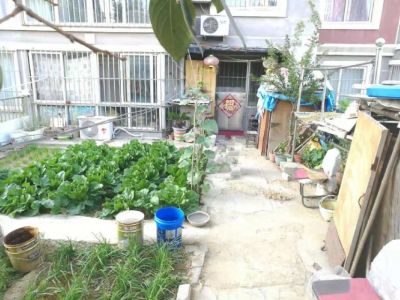 香山花园
