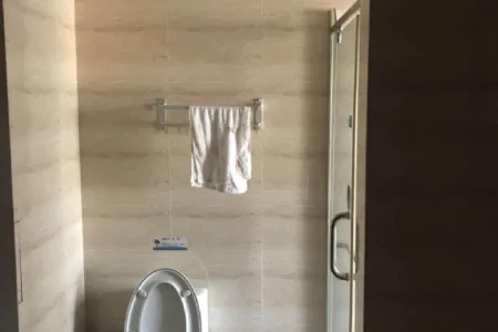 金色海湾巧克力公寓 1室1厅1卫南北 精装