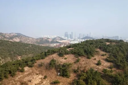 海印长天 1室1厅1卫南 毛坯