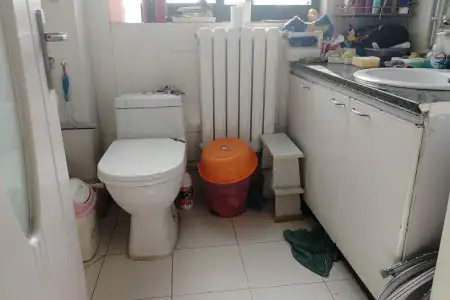 兴悦华城 2室1厅1卫 南北 精装