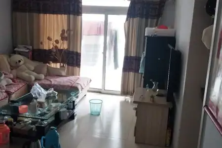 怡和嘉园 2室2厅1卫南 精装