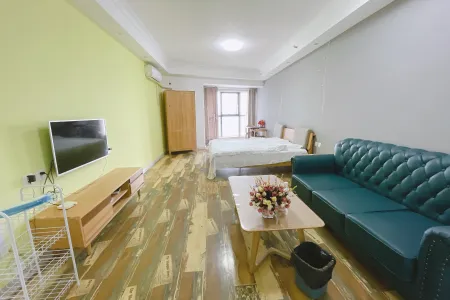 梦时代广场 1室1厅0卫南 精装