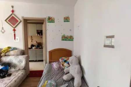 幸福社区 1室1厅1卫南 精装