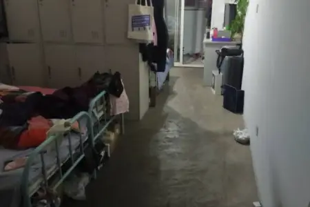 卧鹏小区 1室1厅1卫南北 普装