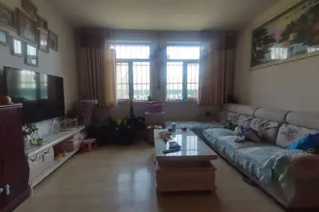 星河嘉园 2室2厅1卫 南北 中装