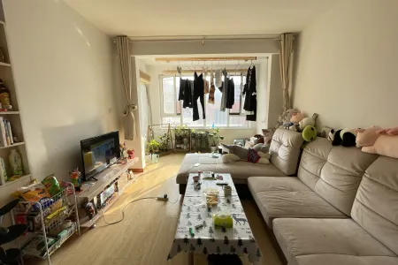 花科子社区 2室2厅1卫 南 中装