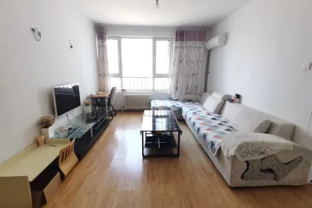 鲁商蓝岸国际南区 2室1厅1卫 南北 中装