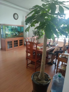 海怡湾畔 3室2厅1卫南北 精装