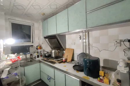 盛世嘉苑 1室1厅1卫南北 精装