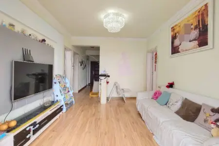 天玺乐城 2室1厅1卫 南北 精装