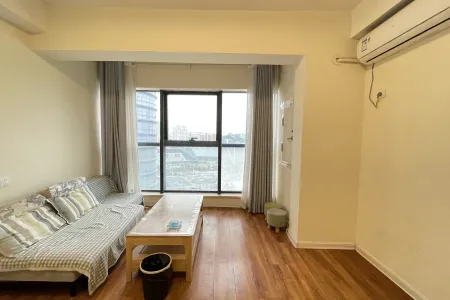 梦时代广场 1室1厅1卫 南北 精装