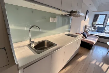 融创公馆B 1室1厅1卫北 精装