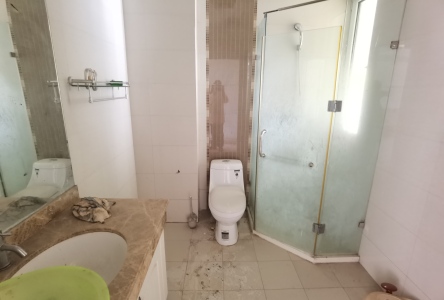 康大风和日丽