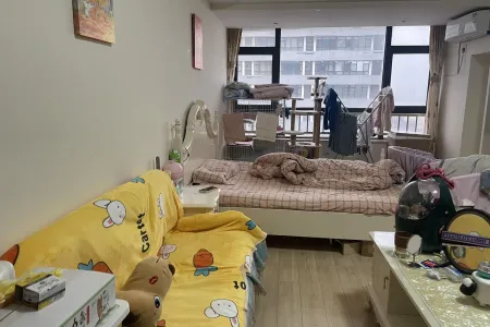 融创公馆A 1室1厅1卫东南 精装