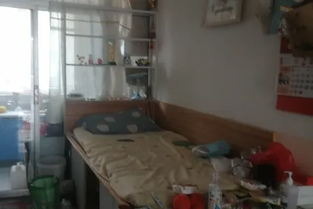 两埠岸居住区 2室2厅1卫南北 毛坯