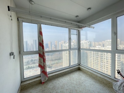 康大凤凰国际