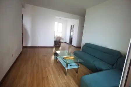 大泊子社区（西区） 2室1厅1卫 南北 中装