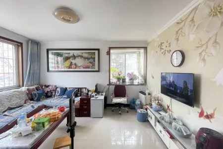 豪华装修,拎包入住,真正的地铁楼盘,升值空间无限