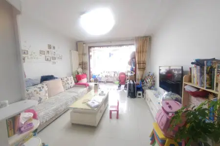 星河嘉园 2室2厅1卫 南北 精装