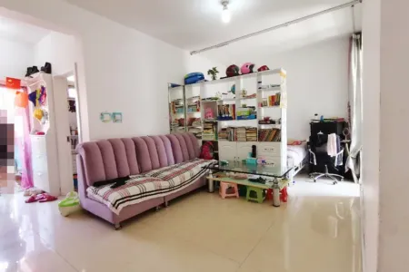 豪华装修,拎包入住,真正的地铁楼盘,升值空间无限