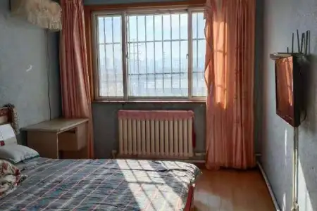 红柳河路698号 2室2厅1卫南北 中装