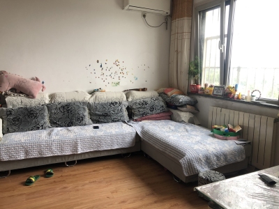 青橙时代